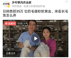 蒙陰長毛兔采毛方法與注意事項(xiàng)，你了解嗎